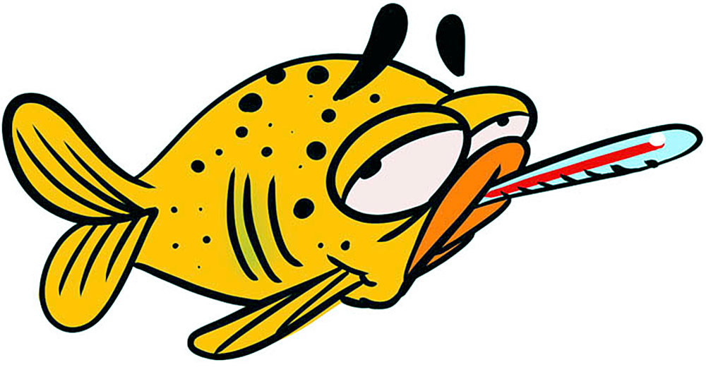 بیماری سبب کاهش اشتها و تغذیه ی ماهی می شود