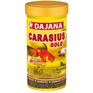 کاریسیوس گلد Carasius Gold
