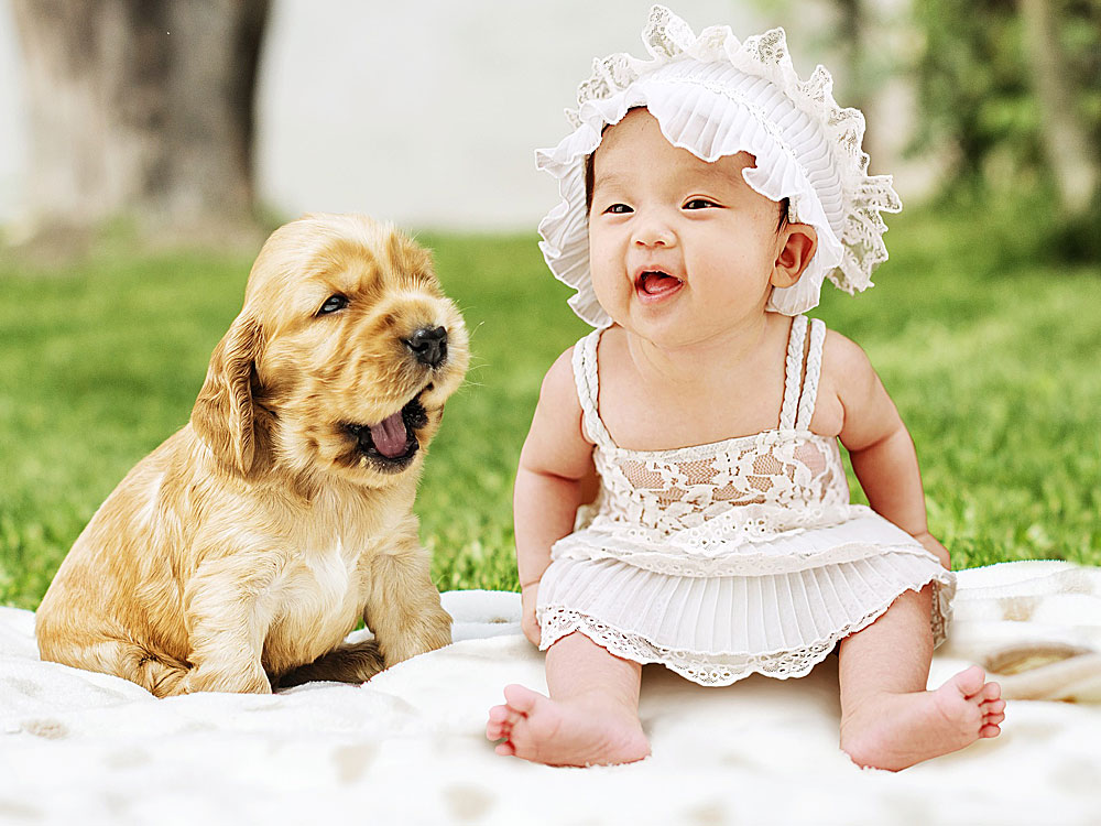 آشنا کردن سگ با نوزادان