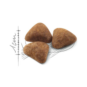 دانه بندی ایندور لایف گربه رویال