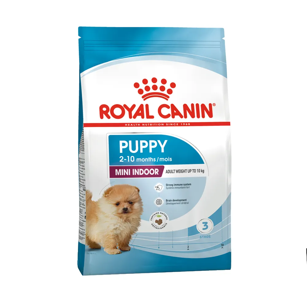 مینی-ایندور-پاپی-رویال مینی ایندور پاپی رویال