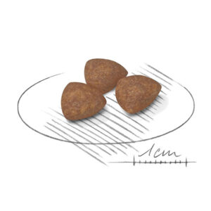 دانه بندی مینی ایندور پاپی رویال کنین