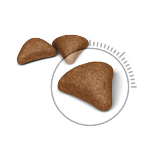 دانه بندی هیربال کر رویال کنین