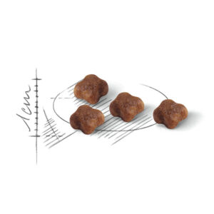 دانه بندی مادر بیبی رویال کنین