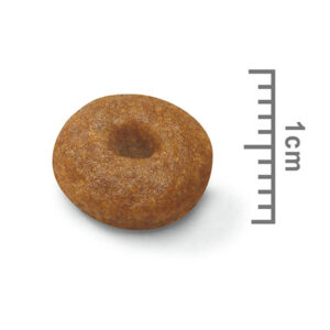 دانه بندی مکسی استارتر رویال کنین