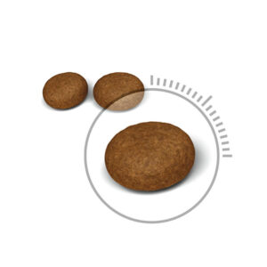 دانه بندی هیر اسکین گربه رویال