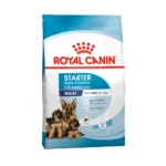 مکسی استارتر رویال کنین