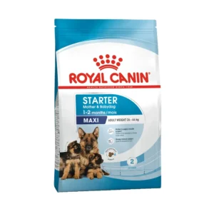 مکسی استارتر رویال کنین