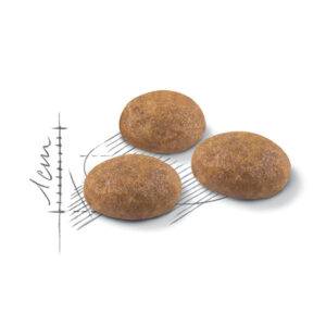 دانه بندی اوتدور گربه رویال کنین