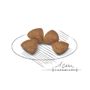 دانه بندی ایکس اسمال پاپی رویال کنین