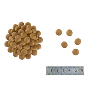 دانه بندی آنالرژنیک گربه رویال کنین