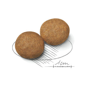 دانه بندی مدیوم ادالت رویال کنین