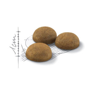 دانه بندی ایندور لانگ هیر رویال