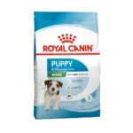 مینی پاپی رویال کنین