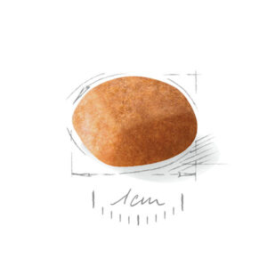 دانه بندی گلدن پاپی رویال کنین