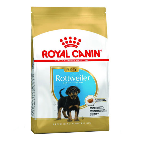 روتفایلر-پاپی-رویال-کنین روتفایلر پاپی رویال کنین