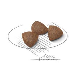 دانه بندی مدیوم استارتر رویال کنین