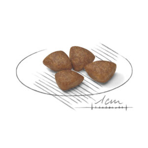 دانه بندی مینی استارتر رویال کنین