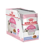 پوچ کیتن ژله رویال