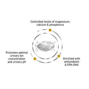دانه بندی یورینری سگ رویال