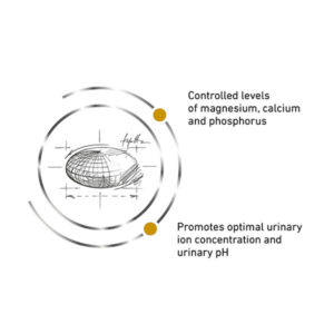 دانه بندی یورینری مدریت رویال کنین