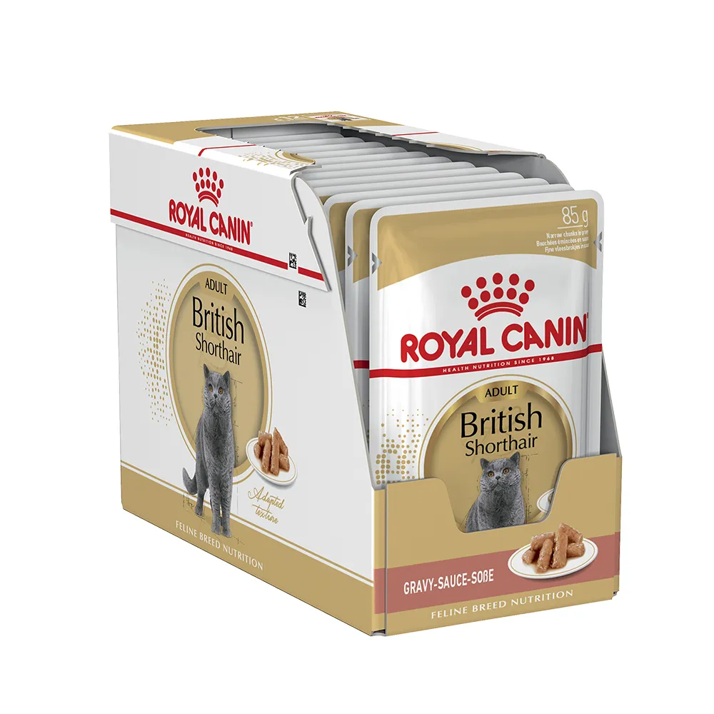 پوچ بریتیش ادالت رویال پوچ گربه بریتیش رویال