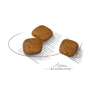 دانه بندی مینی یورینری کر رویال کنین