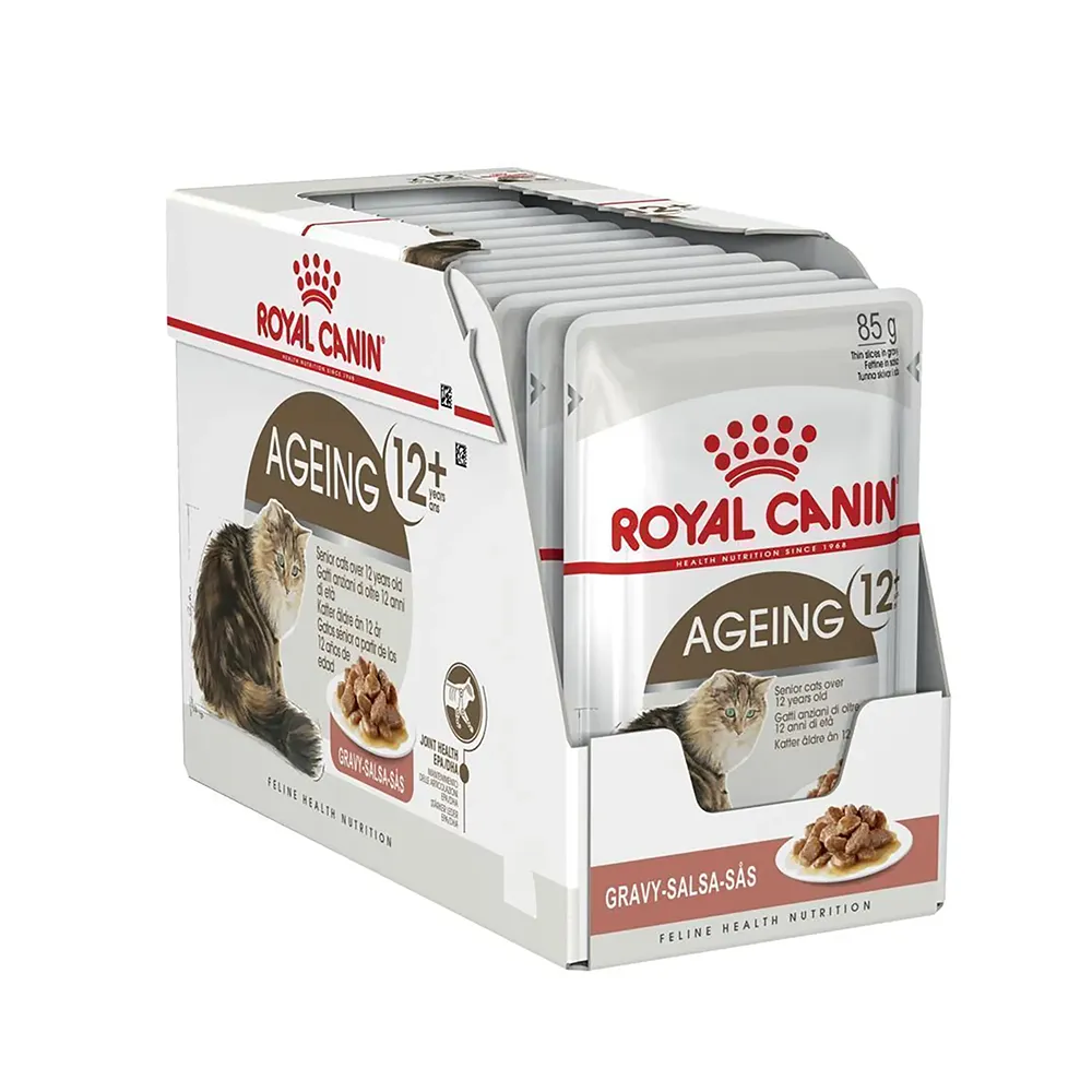 پوچ ایجینگ گربه رویال پوچ گربه ایجینگ رویال