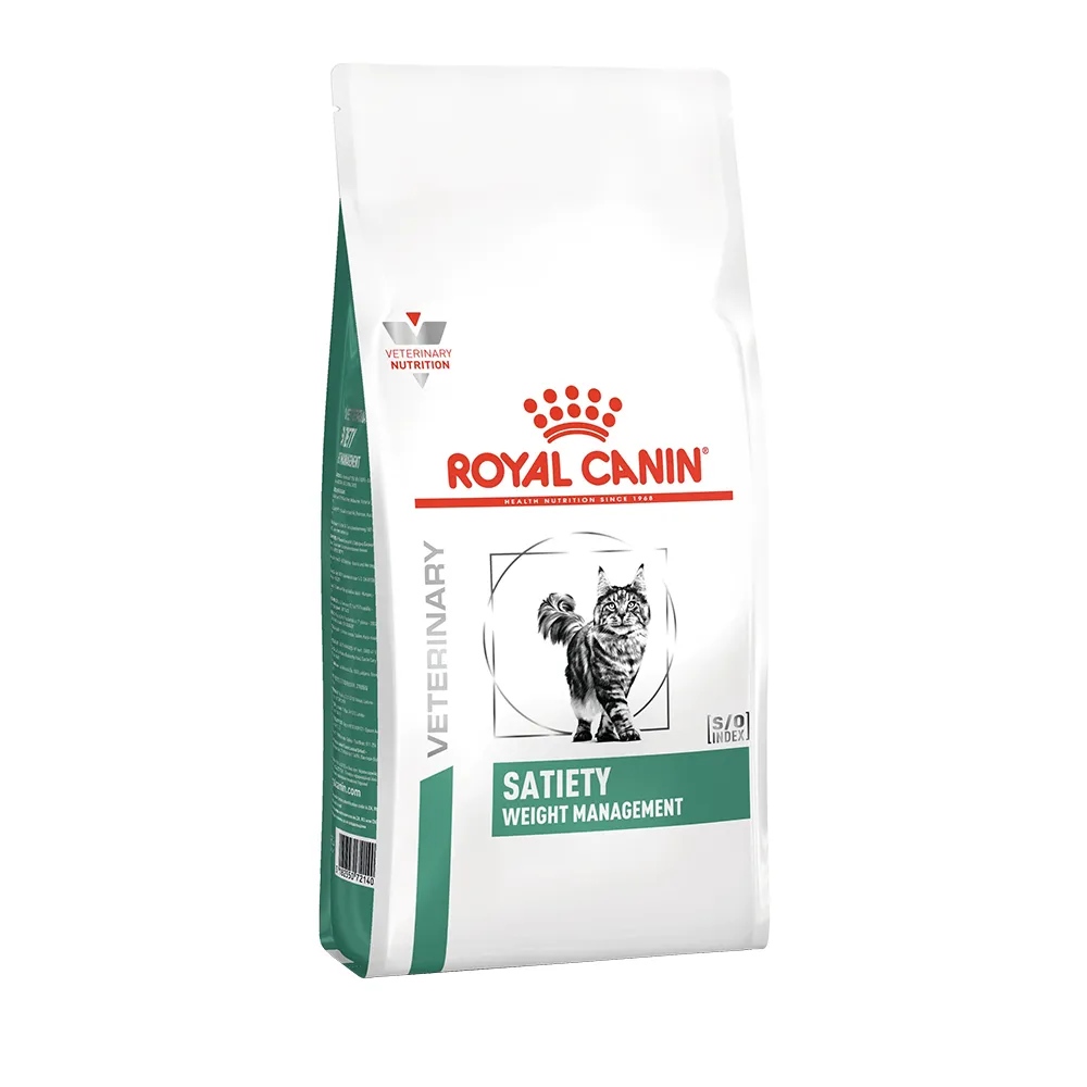 ستیتی گربه رویال کنین گربه ستیتی رویال کنین