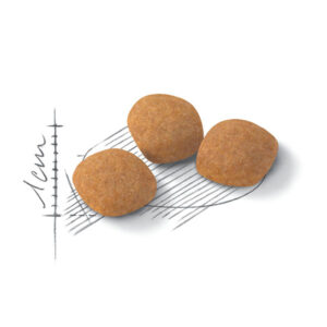 دانه بندی پروتئین اگزیجنت رویال کنین