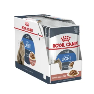 پوچ لایت گروی رویال