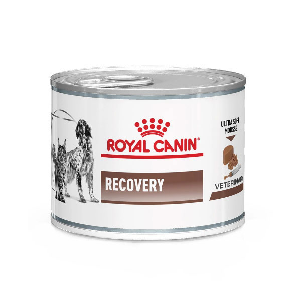 royal canin recovery dry food