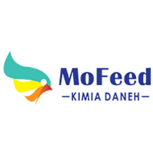 مفید MoFeed