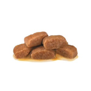 بافت پوچ گسترو گربه رویال کنین