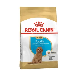 پودل پاپی رویال کنین