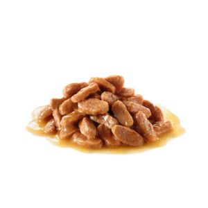 بافت پوچ سگ استریلایزد رویال کنین