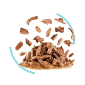 بافت پوچ سنسوری فیل رویال