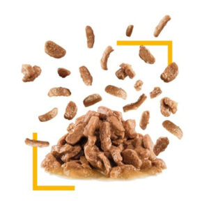 بافت پوچ سنسوری تیست رویال کنین