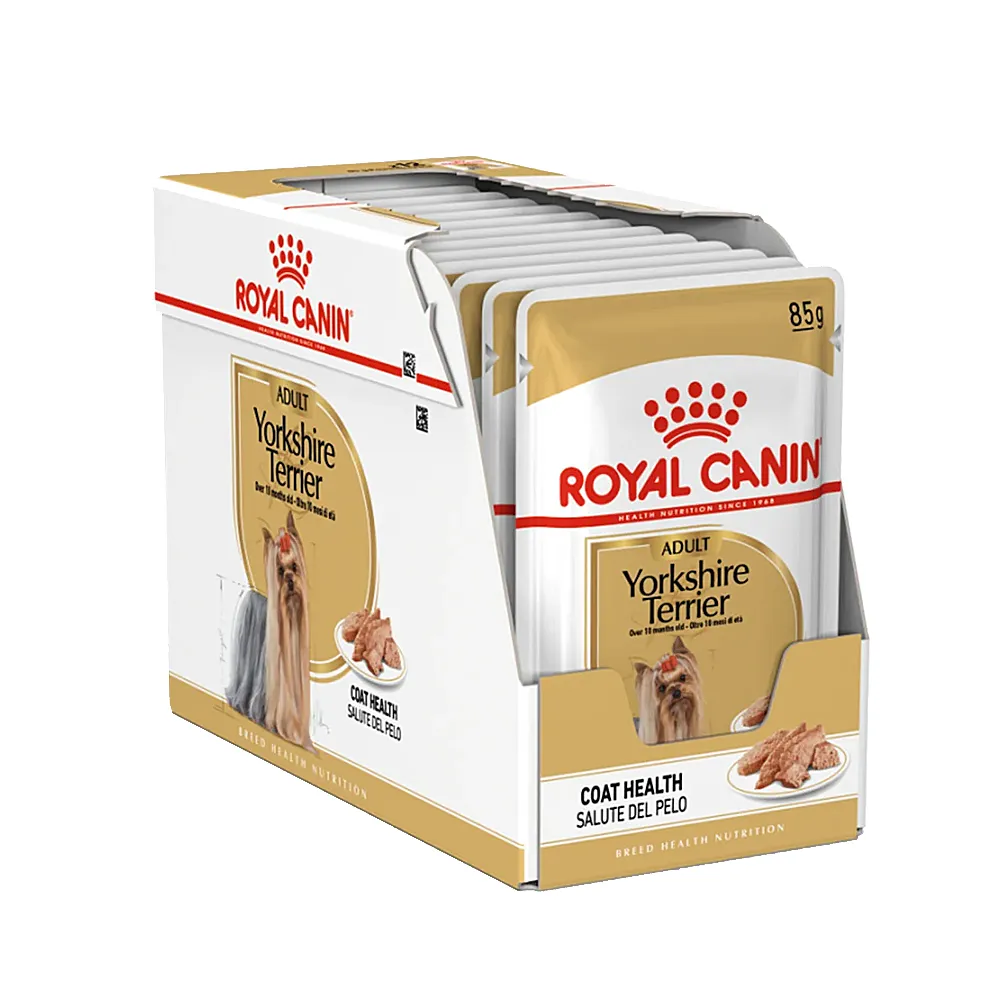 پوچ یورکشایر رویال کنین پوچ یورکشایر بالغ رویال