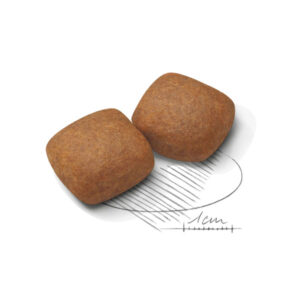 دانه بندی جاینت جونیور رویال کنین