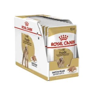 پوچ پودل رویال کنین