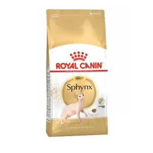 گربه اسفینکس رویال کنین