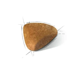 دانه بندی اسفینکس رویال کنین