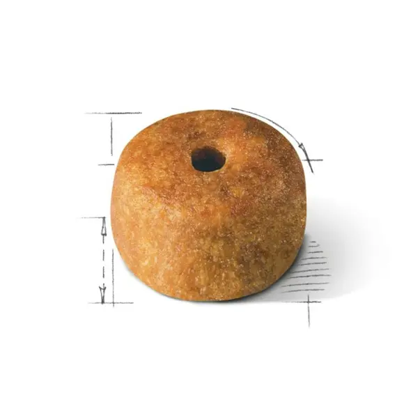 دانه بندی سیامی رویال کنین