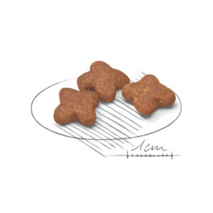 دانه بندی مینی ادالت +8 رویال کنین