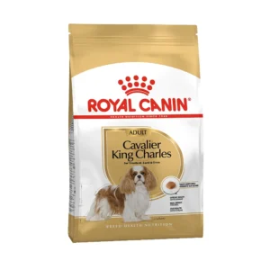 کاوالیر ادالت رویال کنین