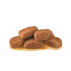 بافت پوچ گسترو مدریت رویال