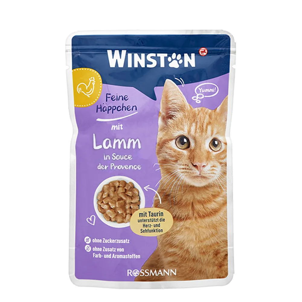 پوچ سس بره وینستون پوچ بره سس وینستون