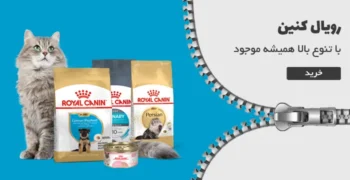 بنر رویال کنین موبایل