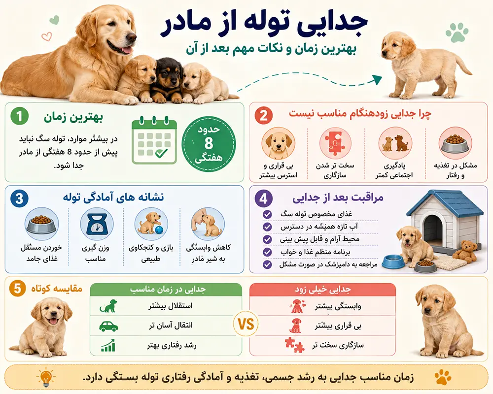 جدایی توله مادر